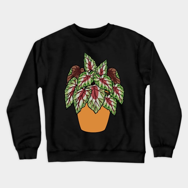 Begonia Rex Plant Illustration | Plant in a pot Crewneck Sweatshirt by gronly